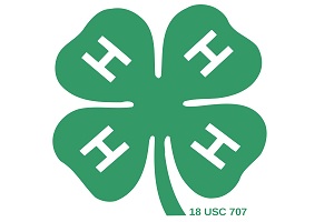 4H