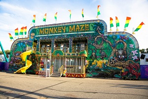 Monkey Maze 4