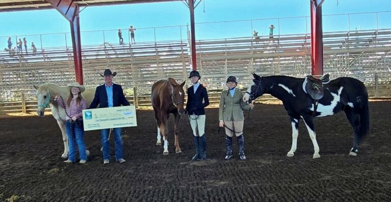 Equinescholarships